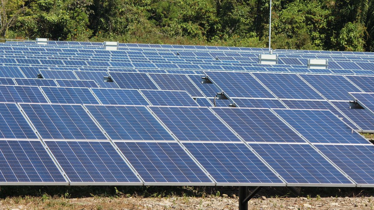 El fiscal acusa también a la trama eólica de cobrar comisiones por huertos solares