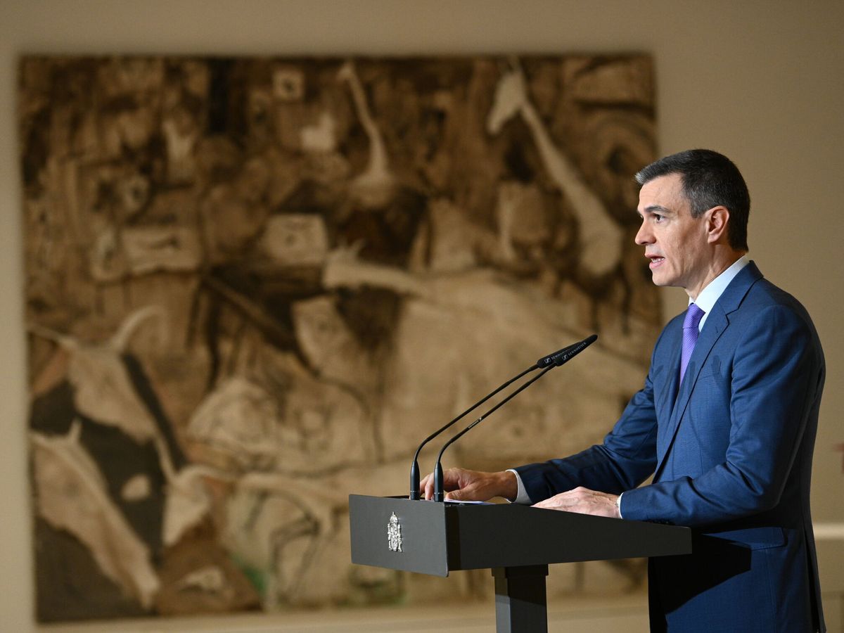 Foto: El presidente del Gobierno, Pedro Sánchez. (EFE/Moncloa/Borja Puig)