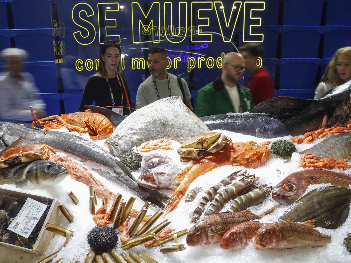 Foto: Un puesto de pescados en el congreso San Sebastián Gastronomika. (EFE/Juan Herrero)