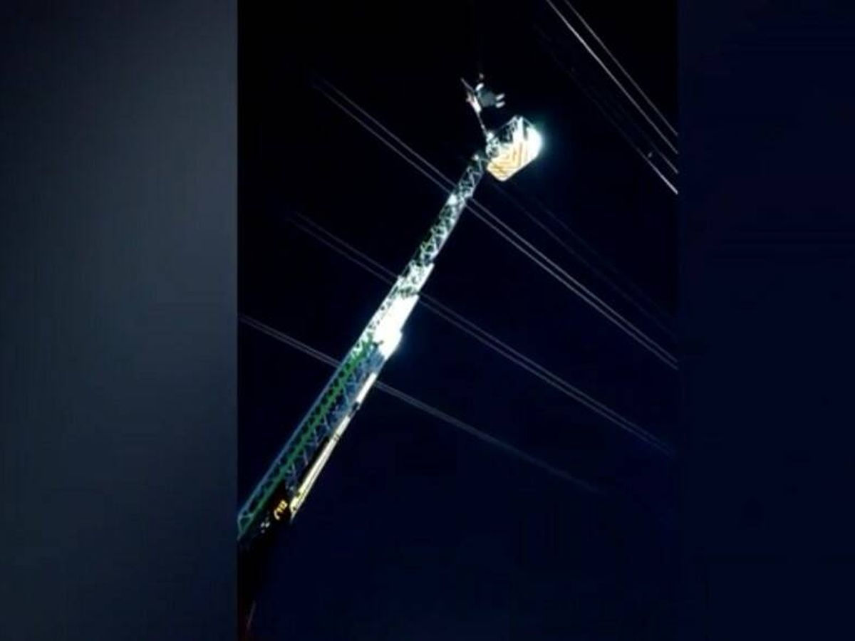 Foto: El hombre se quedó enganchado en los cables, a 25 metros de altura. (Comunidad de Madrid)
