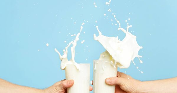 Foto: Sin lactosa, una solución para seguir brindando con leche. (iStock)