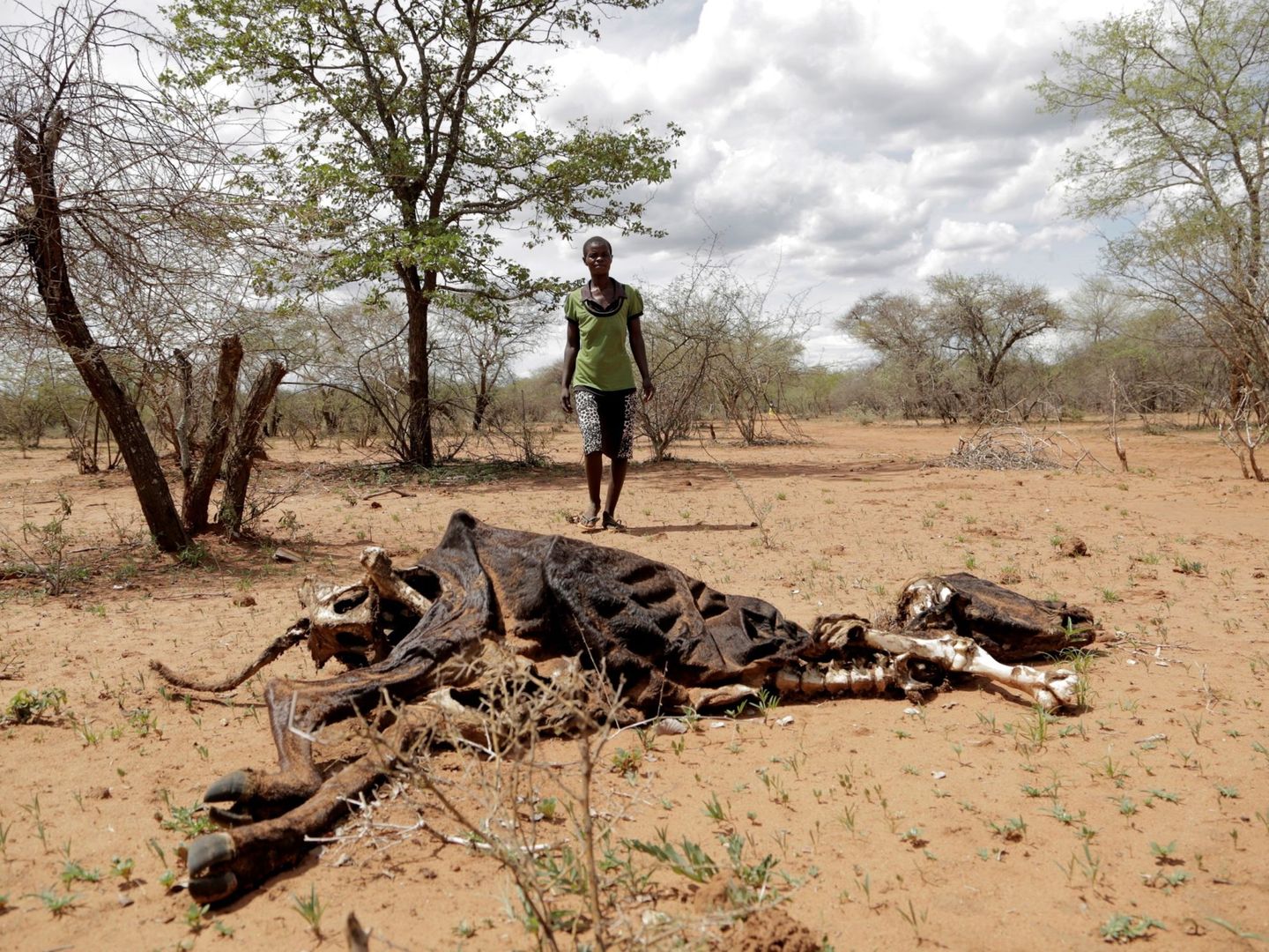 El sur de África vive la peor sequía registrada. (EFE/A. Ufumeli)