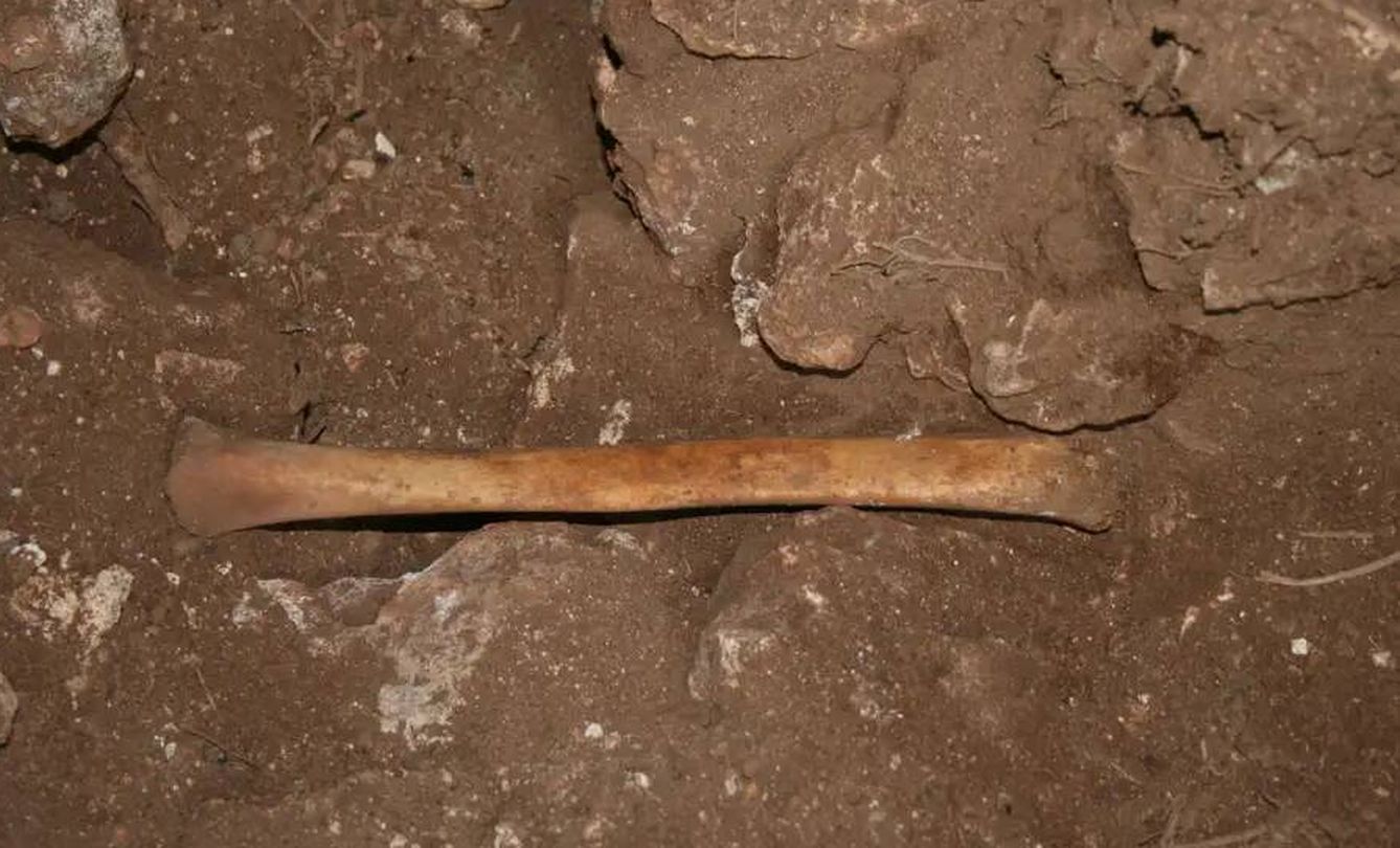 Tibia hallada en la Cueva de los Mármoles (Plos One)
