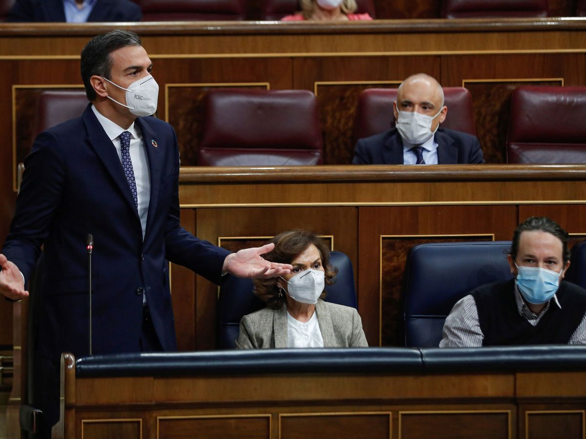Foto: El presidente del Gobierno, Pedro Sánchez, durante una sesión de control. (EFE)
