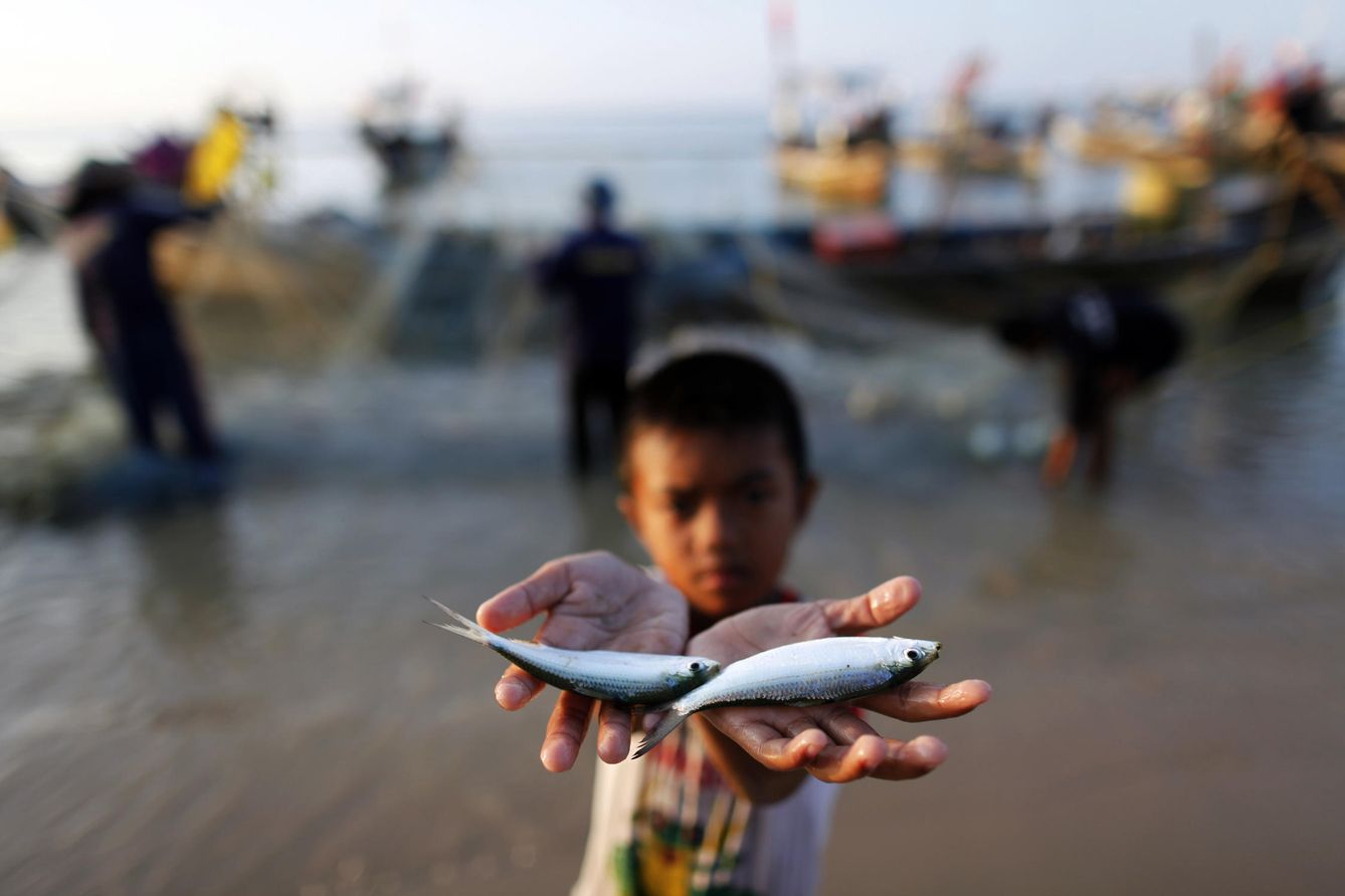 Un niño tailandés muestra dos peces al fotógrafo ante un grupo de pescadores, en Ban Nam Khem. (Reuters) 