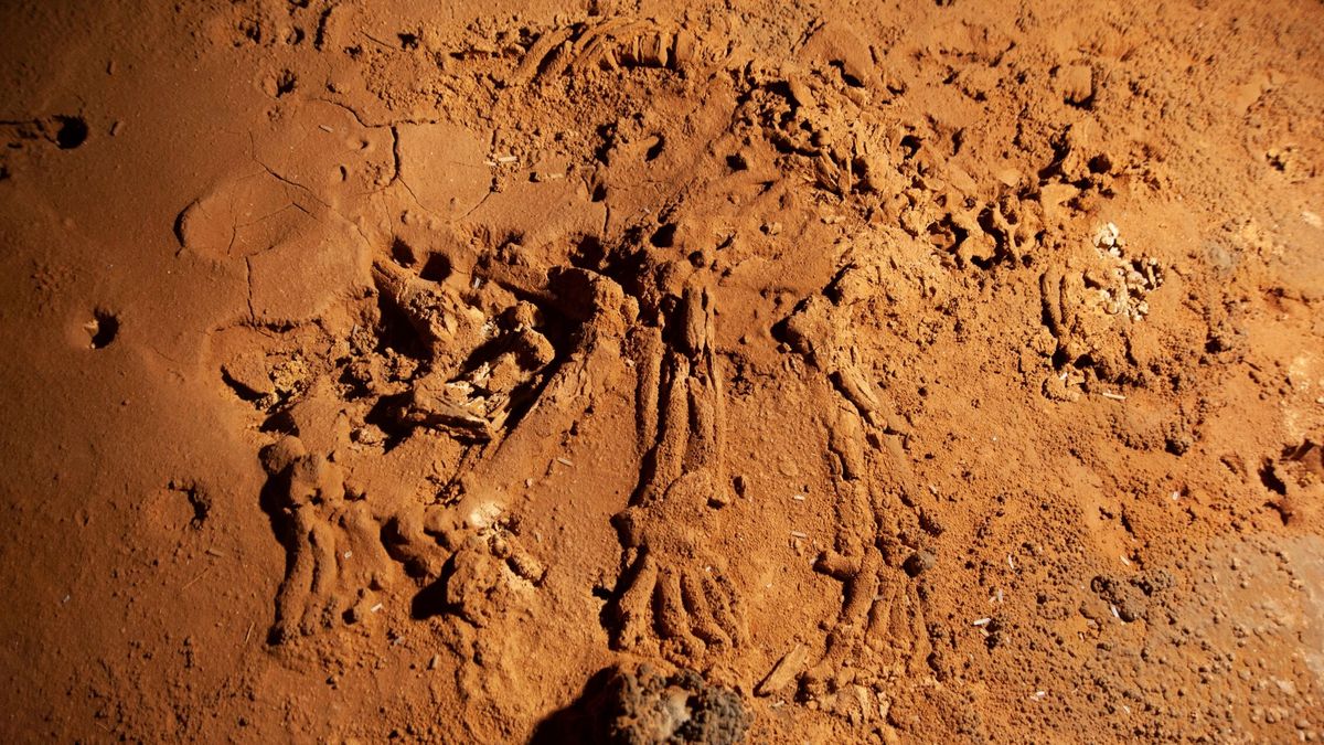 El yacimiento de La Garma, Premio Nacional de Arqueología y Paleontología
