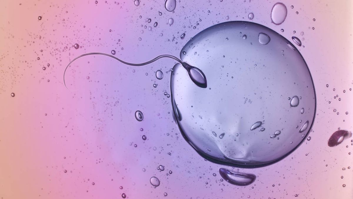 Un gran problema para Occidente: el esperma se ha reducido un 59% desde los 70