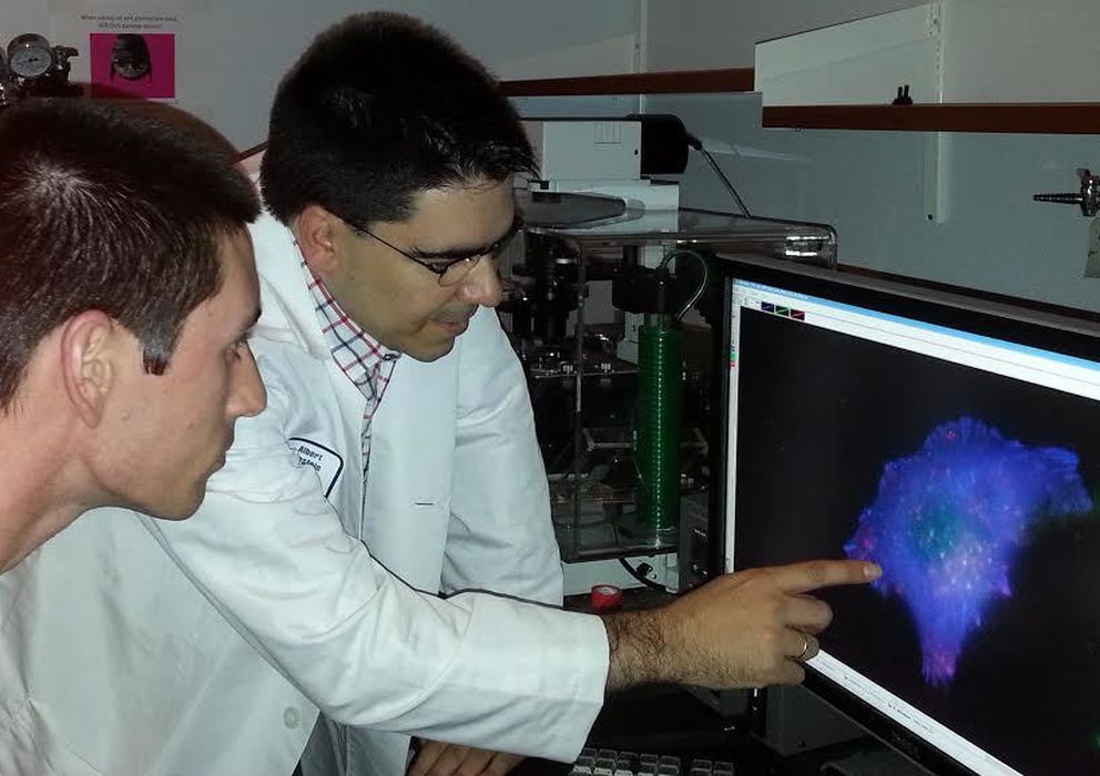 Foto: Javier Bravo-Cordero, a la derecha, en su laboratorio de la Escuela de Medicina Albert Einstein