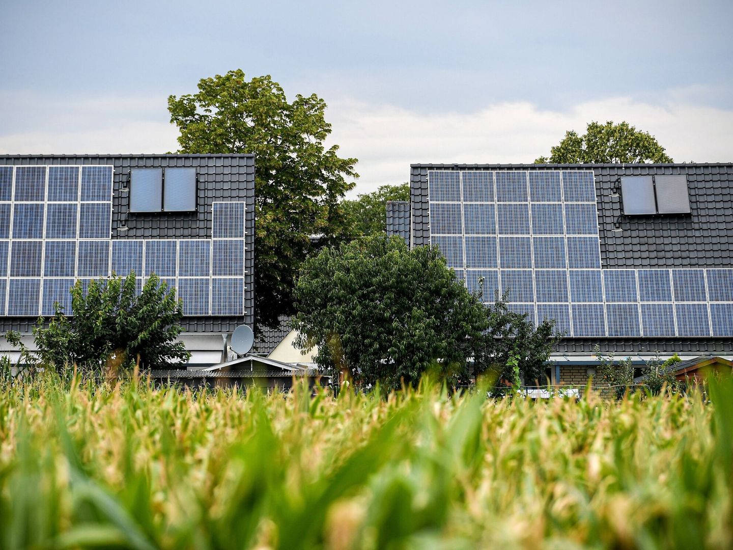 El autoconsumo solar debe jugar un papel clave (EFE/S.Steinbach) 