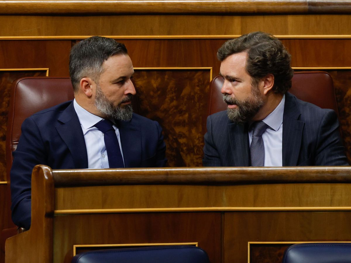 Foto: Santiago Abascal conversa con el portavoz del partido en el Congreso, Iván Espinosa de los Monteros. (EFE/J. J. Guillén)