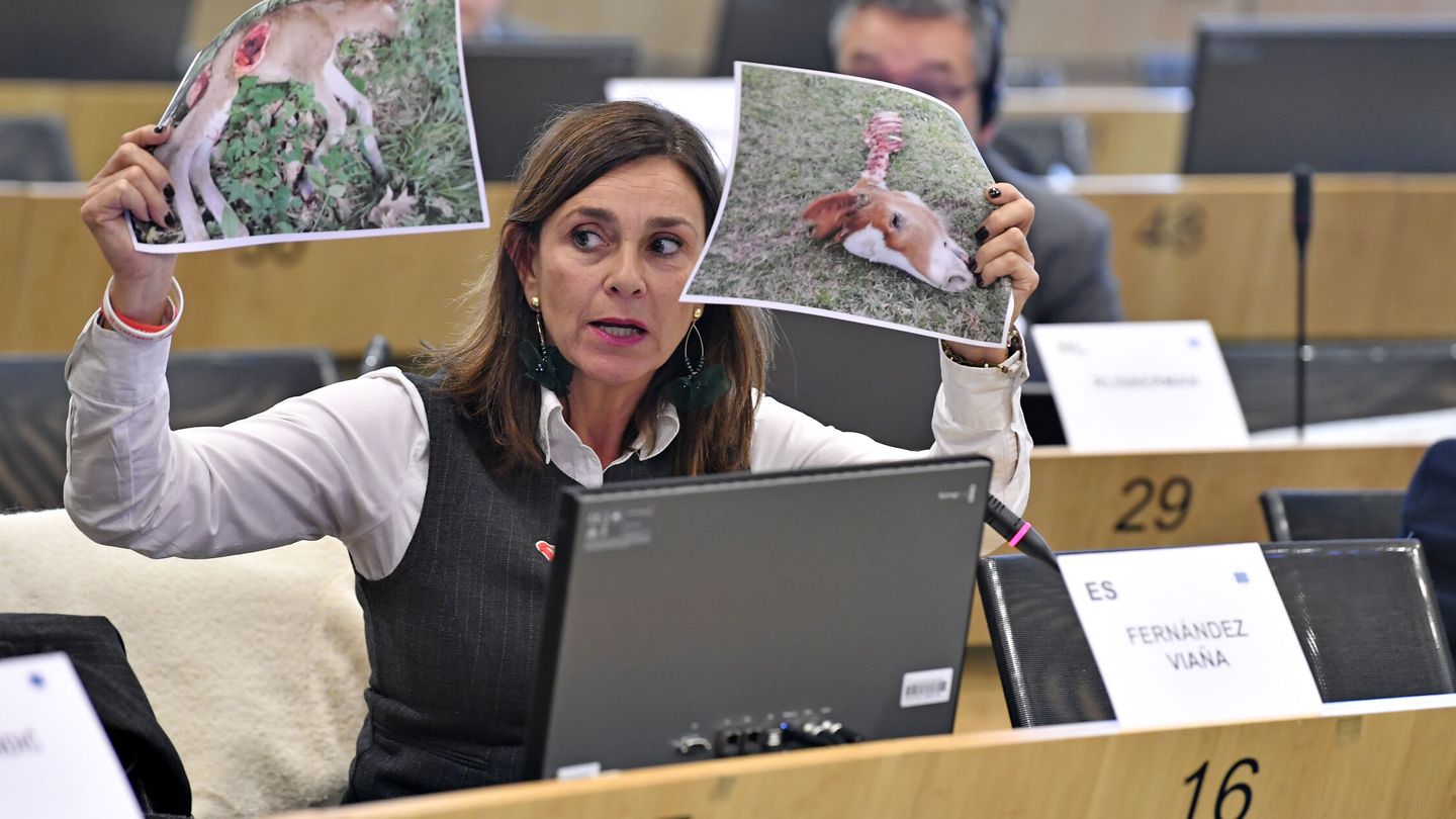 La consejera de la Presidencia de Cantabria, Paula Fernández Viaña, en el Comité Europeo de las Regiones. (EFE/European Union/John Thys)