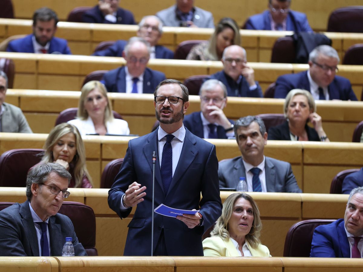 Foto: El portavoz del PP en el Senado, Javier Maroto.(EFE/Kiko Huesca)