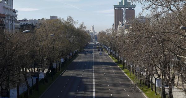 Foto: Paseo de la Castellana de Madrid. (EFE)