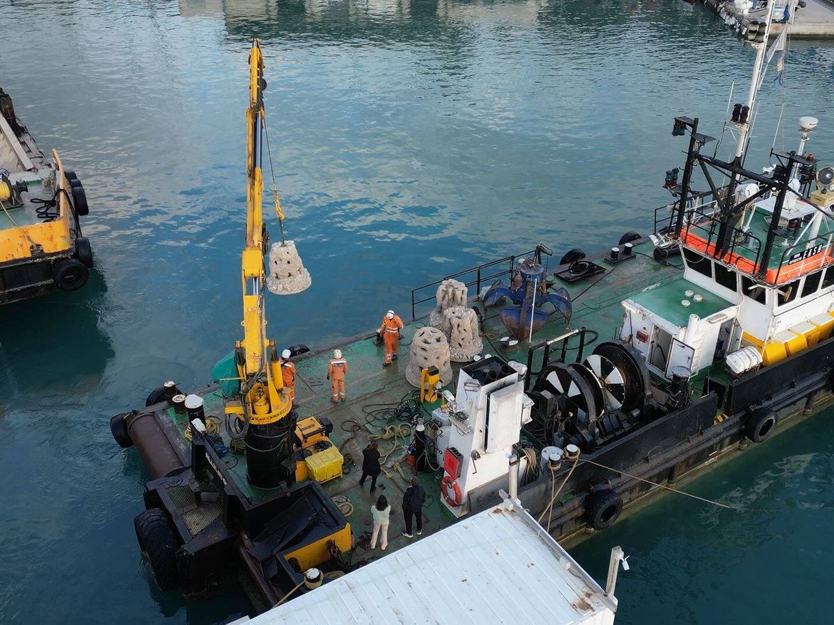 Foto: Una grúa carga en un barco las estructuras destinadas al arrecife. (BMW)