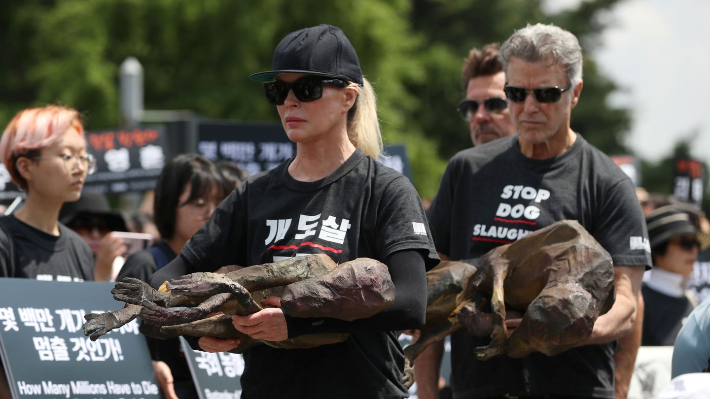 La actriz Kim Basinger, en una protesta contra el consumo de carne de perro, en Seúl. (Reuters/Yonhap)