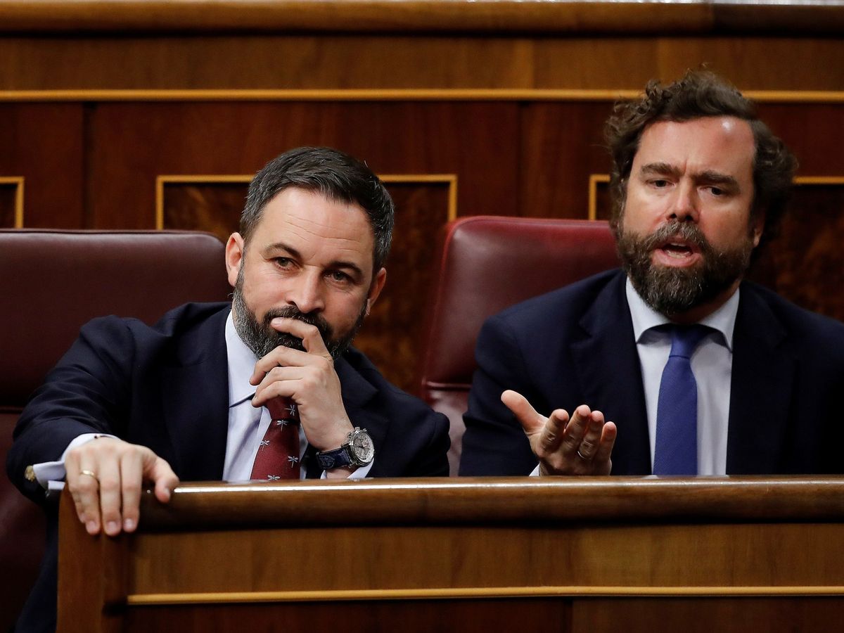 Foto: Abascal y Espinosa de los Monteros, en el Congreso. (EFE)