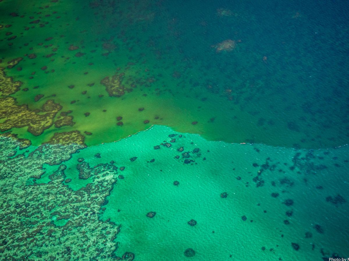 Foto: La Gran Barrera de Coral, en Australia. (Reuters)