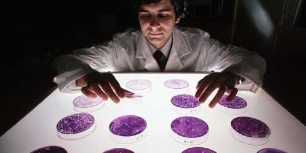 Foto: Un científico holandés descubre un virus mortal "peor que el ántrax"