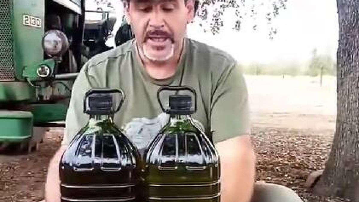 Un agricultor explica el motivo concreto por el que ha subido el precio del aceite de oliva