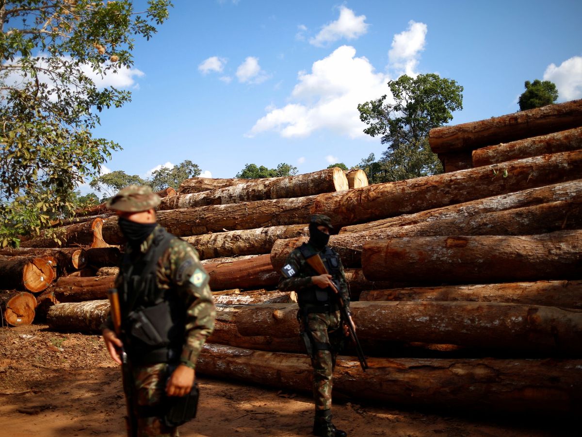 Foto: Soldados protegen una compañía maderera en el Parque Forestal Nacional Jamari, en Rondonia, Brasil. (Reuters/Adriano Machado)
