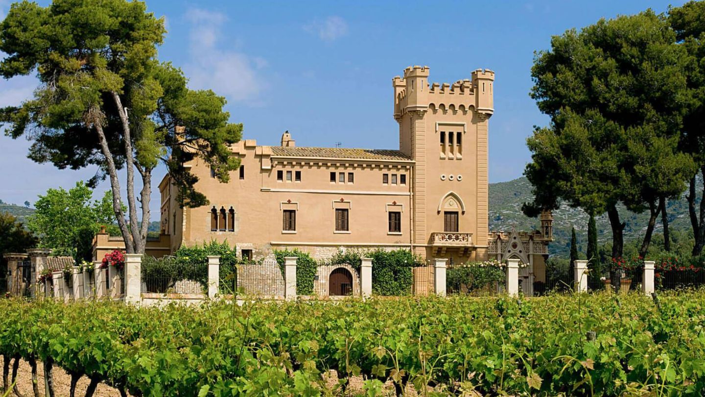 Déjate seducir por los planes que puedes hacer en esta zona, como conocer los vinos de la Cerdanya. (Bodega Torre Veguer)
