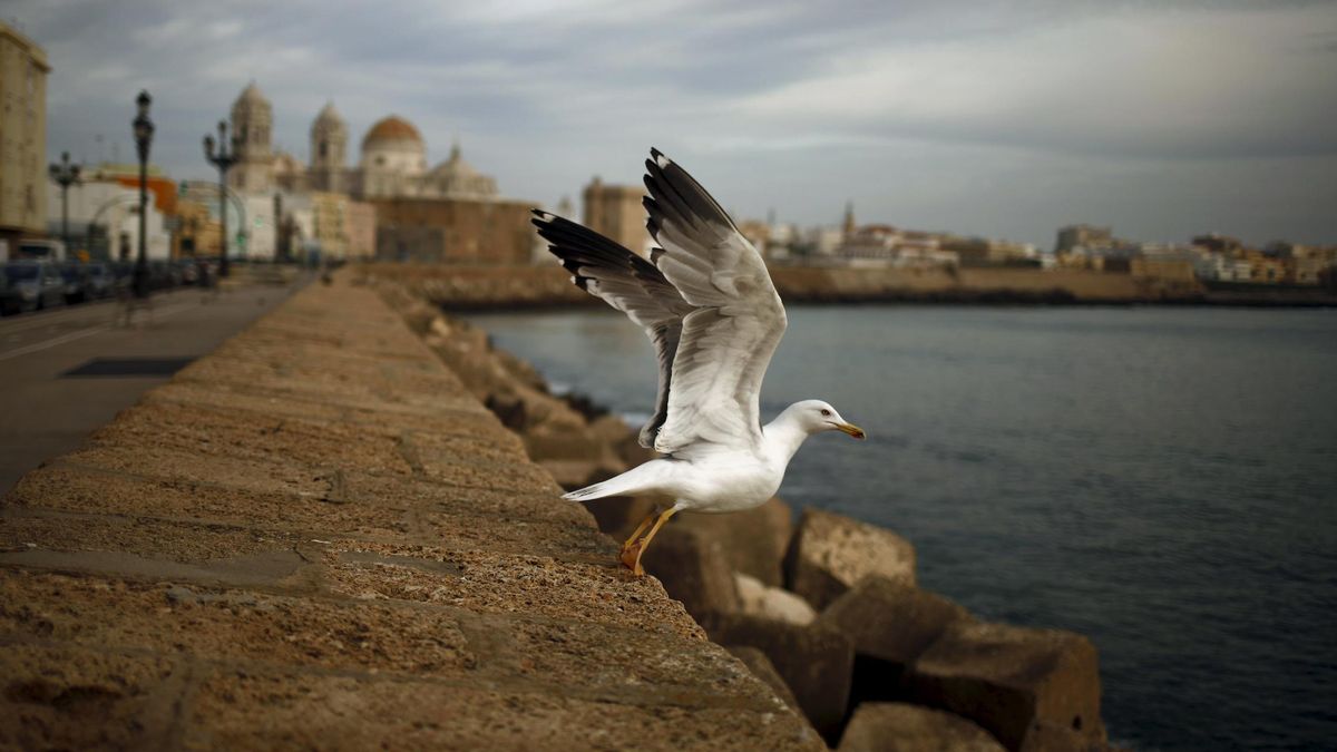 El New York Times se rinde a los encantos de Cádiz: "Una ciudad vivida"