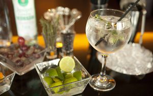 El 'postureo' del gin tonic enaltece a la ginebra entre los espirituosos