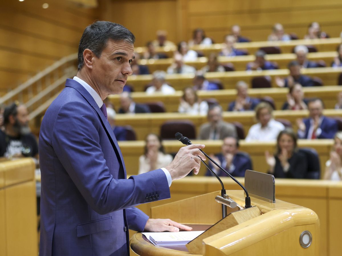 Foto: El presidente del Gobierno, Pedro Sánchez, en el pleno del Senado durante su comparecencia este martes. (EFE/Kiko Huesca)