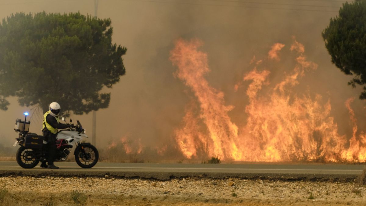 200 afectados y una fotocopiadora de refuerzo: 5 años del fuego que cercó Doñana