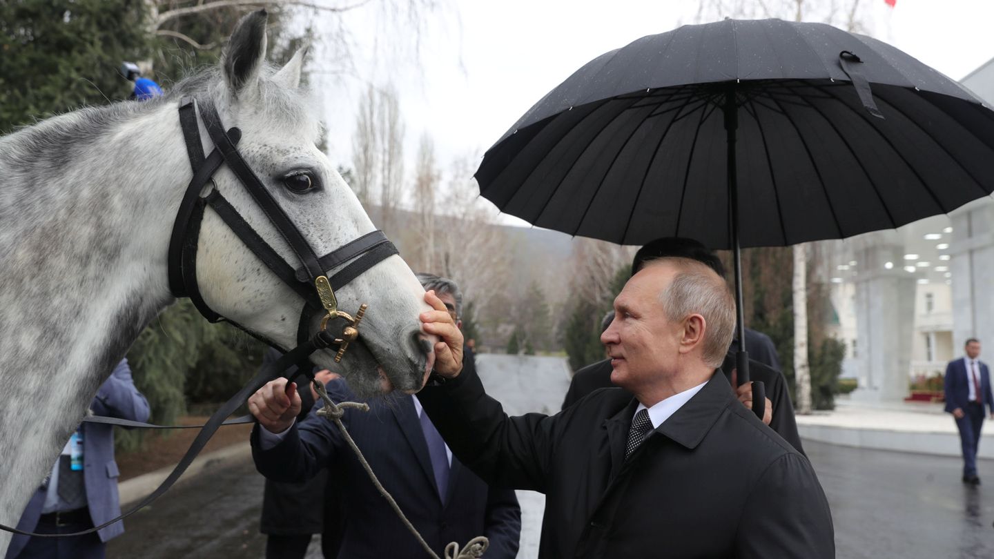 Un caballo y Vladimir Putin. (Reuters/Sputnik Mikhail Klimentyev)
