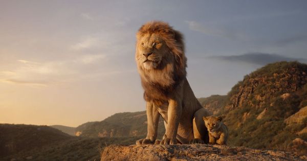 Foto: Ni rey ni león: así sería la película de Disney si fuera fiel a la realidad (EFE)