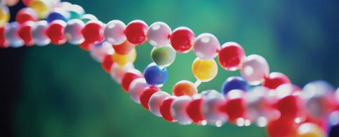 El genoma humano, objeto del deseo para las multinacionales