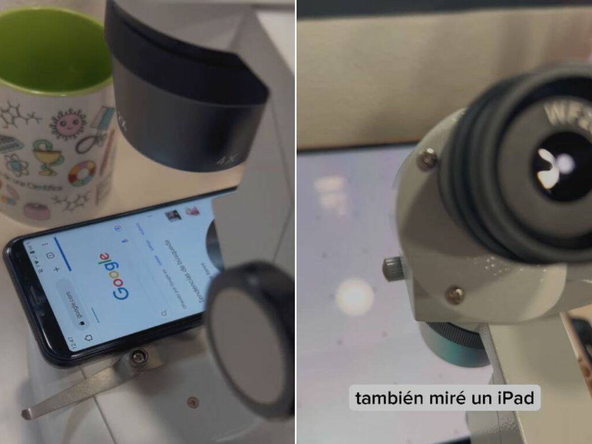 Foto: La increíble imagen de cómo se ven las pantallas de los móviles bajo un microscopio (Instagram.com/@diariodeunacientifica)