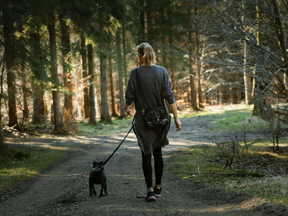 Foto: Las largas caminatas son un invento humano, según la experta (Martin Dalsgaard para Unsplash)