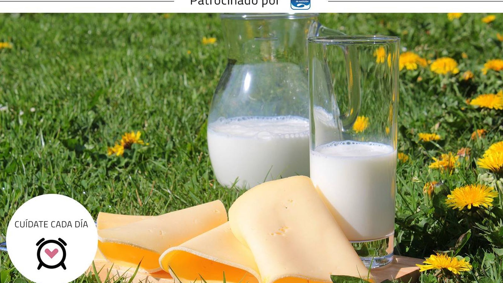 Foto: Aumentar el consumo de leche rica en calcio ayuda a que tus niveles del mineral sean óptimos
