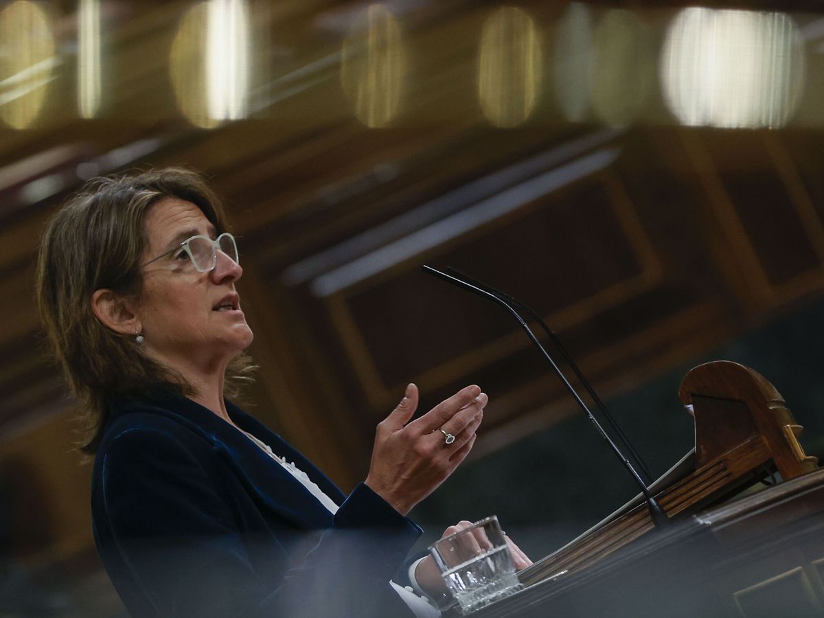 Foto: La ministra de Transición Ecológica, Teresa Ribera. (EFE/J. J. Guillén)