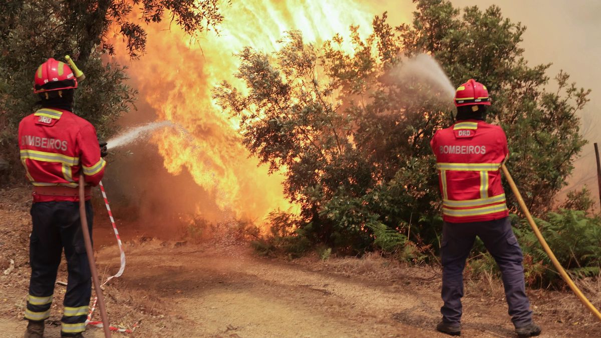 El incendio de Portugal pudo ser provocado: los bomberos ven "una mano criminal"