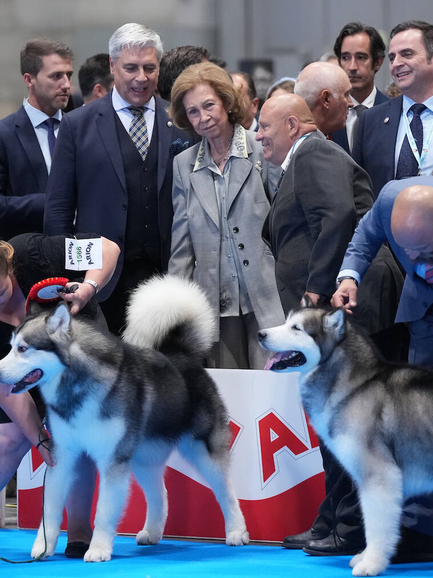 La reina Sofía, en el World Dog Show en Ifema. (Limited Pictures)