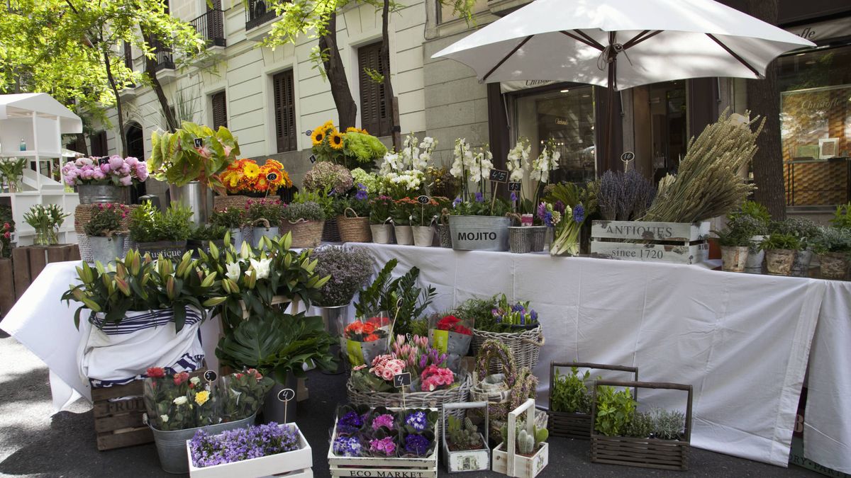 Mercado de las Flores: guía para disfrutar este sábado del Madrid más primaveral