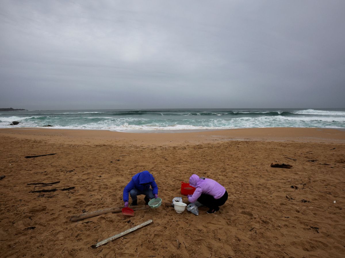 Foto: Un grupo de personas limpia la playa de Vilar de 'pellets' en Galicia. (Reuters/Miguel Vidal)