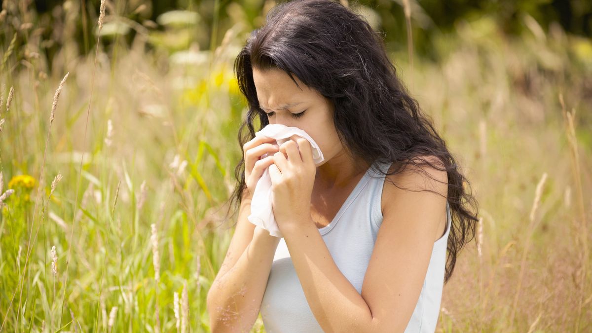 La controvertida pero lógica teoría que explica por qué tenemos alergia