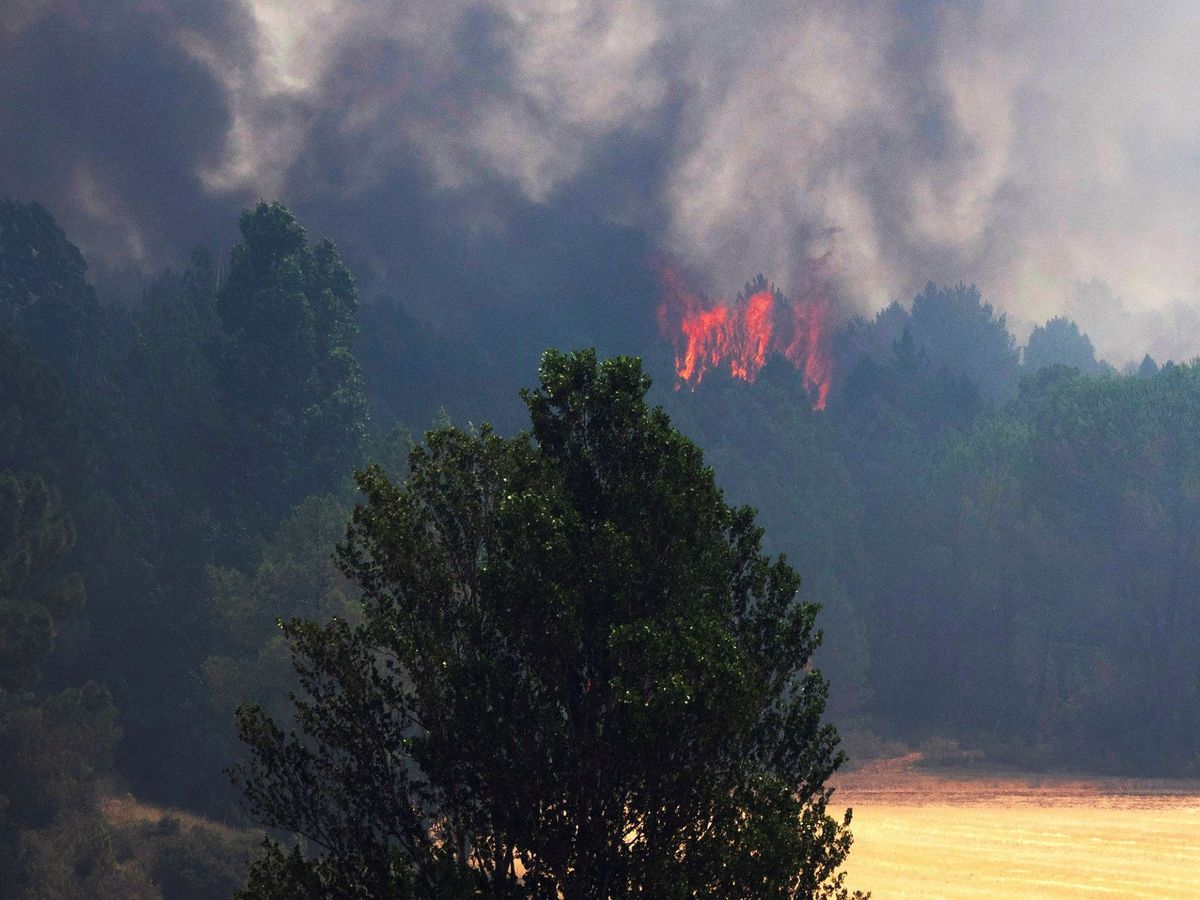 Foto: Imagen del incendio de Barchín, provocado en julio del año pasado. (EFE)