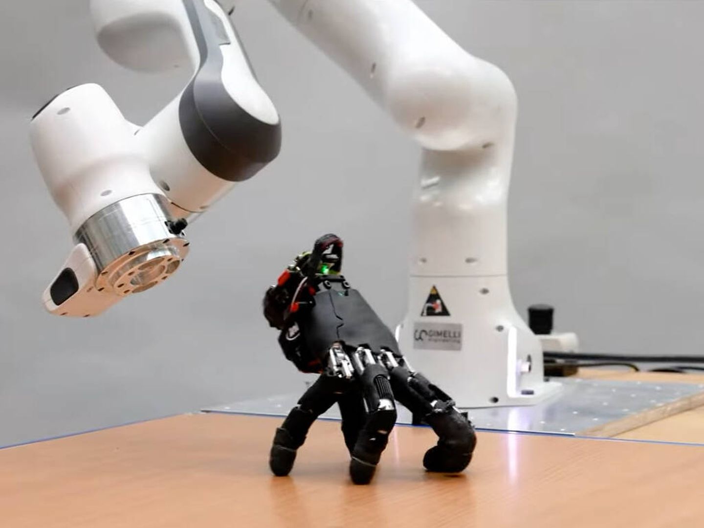 La mano es independiente de su brazo. En el futuro podrá separarse y volverse a juntar con su brazo robótico. (ETH Zurich)