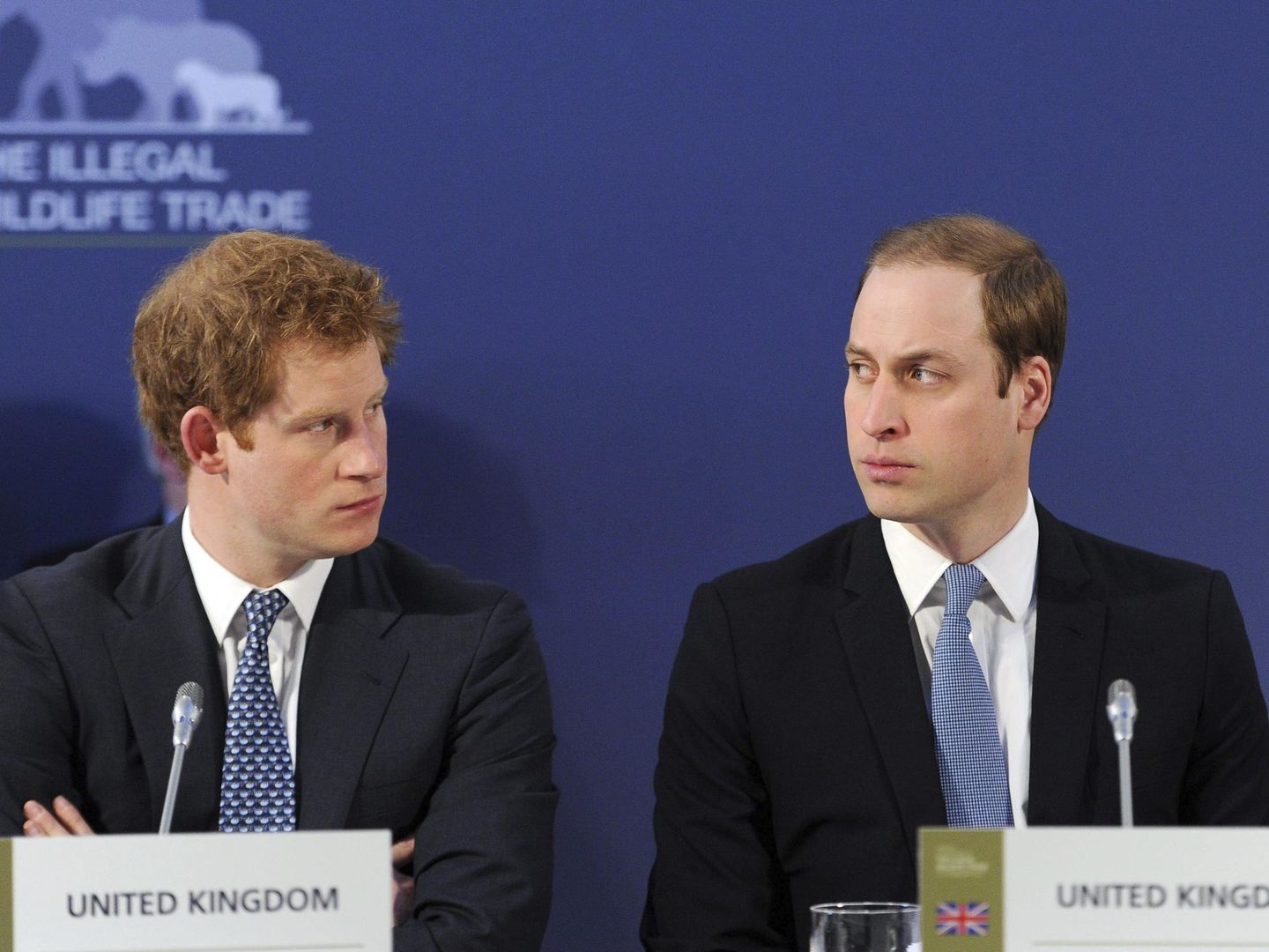 Los príncipes Harry y William, en una cumbre sobre especies protegidas en Londres. (EFE)