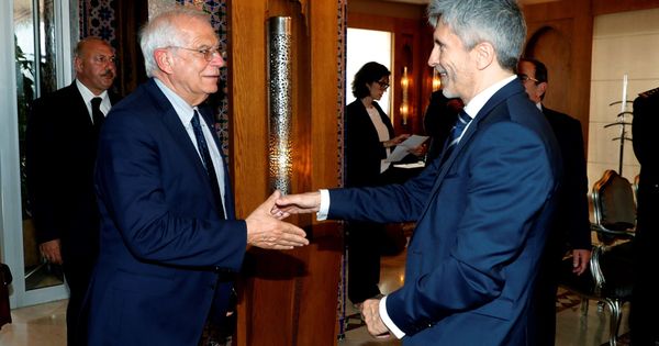 Foto: Los ministros del Interior, Fernando Grande-Marlaska, y de Exteriores, Josep Borrell. (EFE)