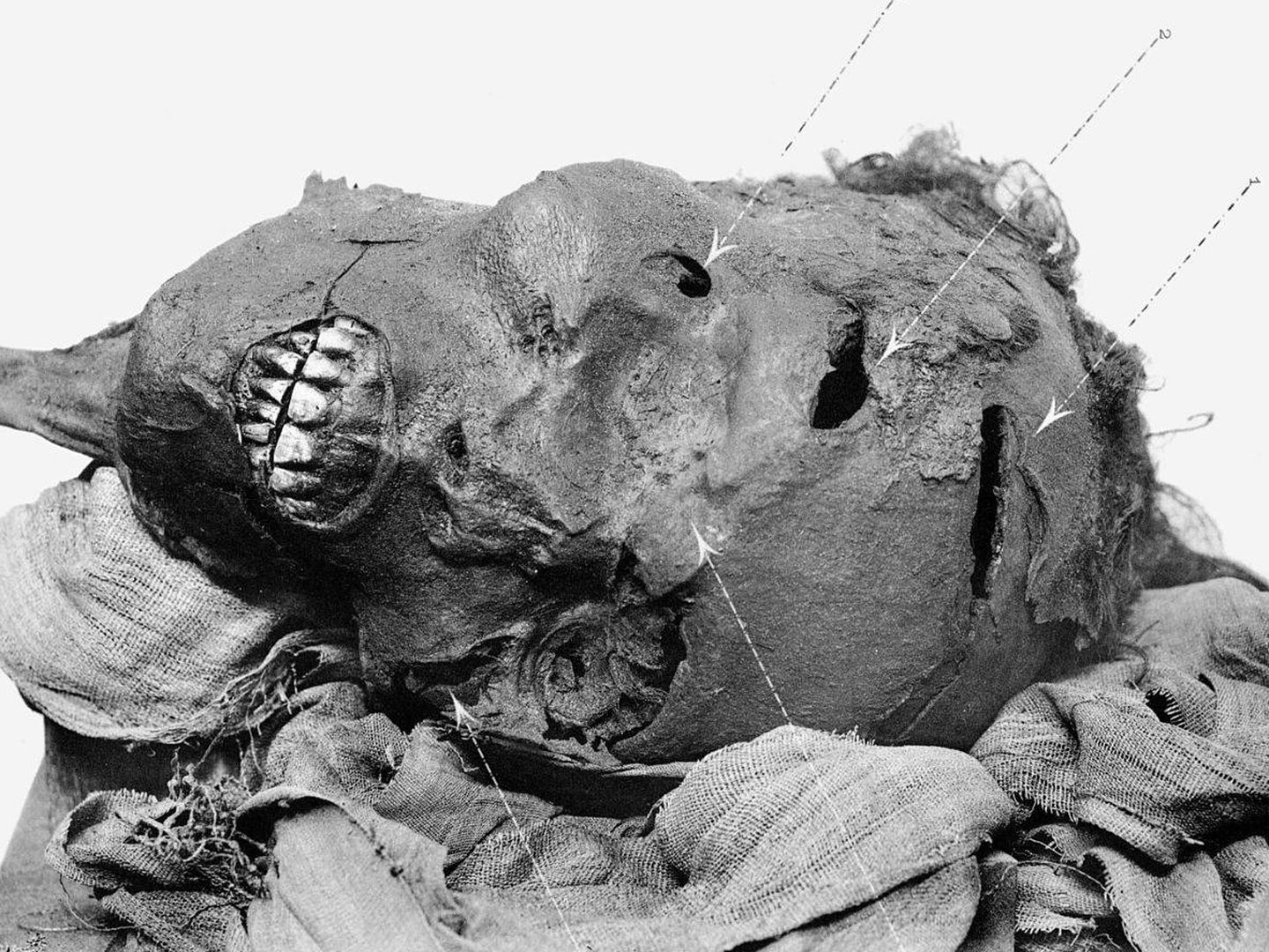 Primer plano de la momia de Seqenenra Taa en 1912. (Wikipedia)