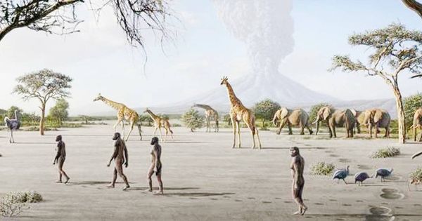 Foto: Recreación de los antecesores de nuestra especie que dejaron sus huellas en Laetoli hace más de tres millones de años
