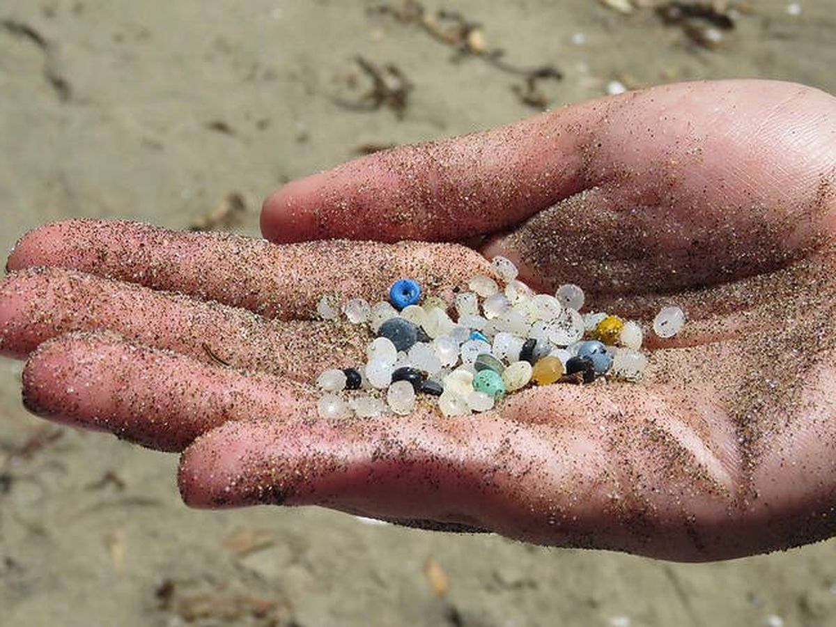 Foto: Los pellets de plástico, o lágrimas de sirena, se han convertido en uno de los mayores contaminantes de las playas. (Flickr/@madicattt/Sustainable Coastlines)