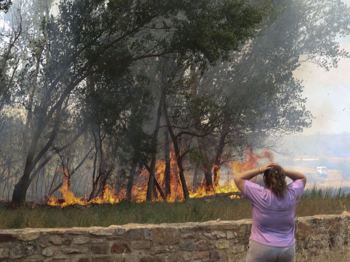Foto: Incendio en San Martín de Tábara, en Zamora. (EFE/Mariam A. Montesinos)