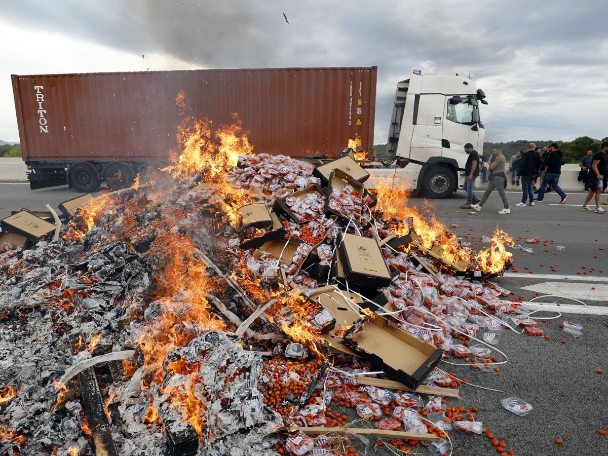 Foto: ¿Por qué están los vinicultores franceses atacando camiones españoles? (EFE / EPA / GUILLAUME HORCAJUELO)
